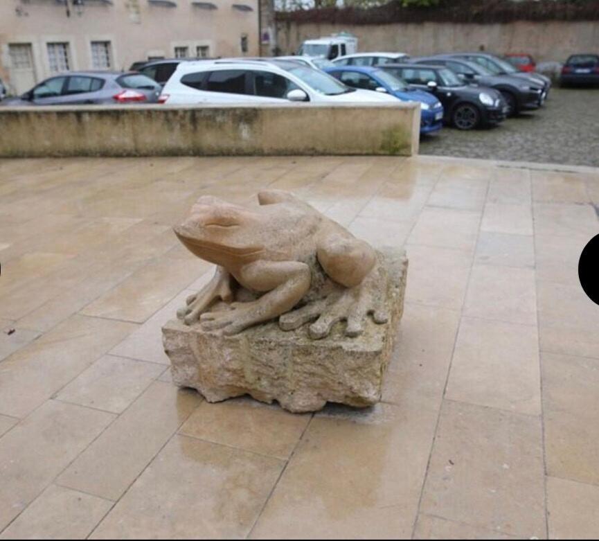 "La Grenouille" Centre Historique - Les Terres Du Roy Villa Авалон Екстериор снимка